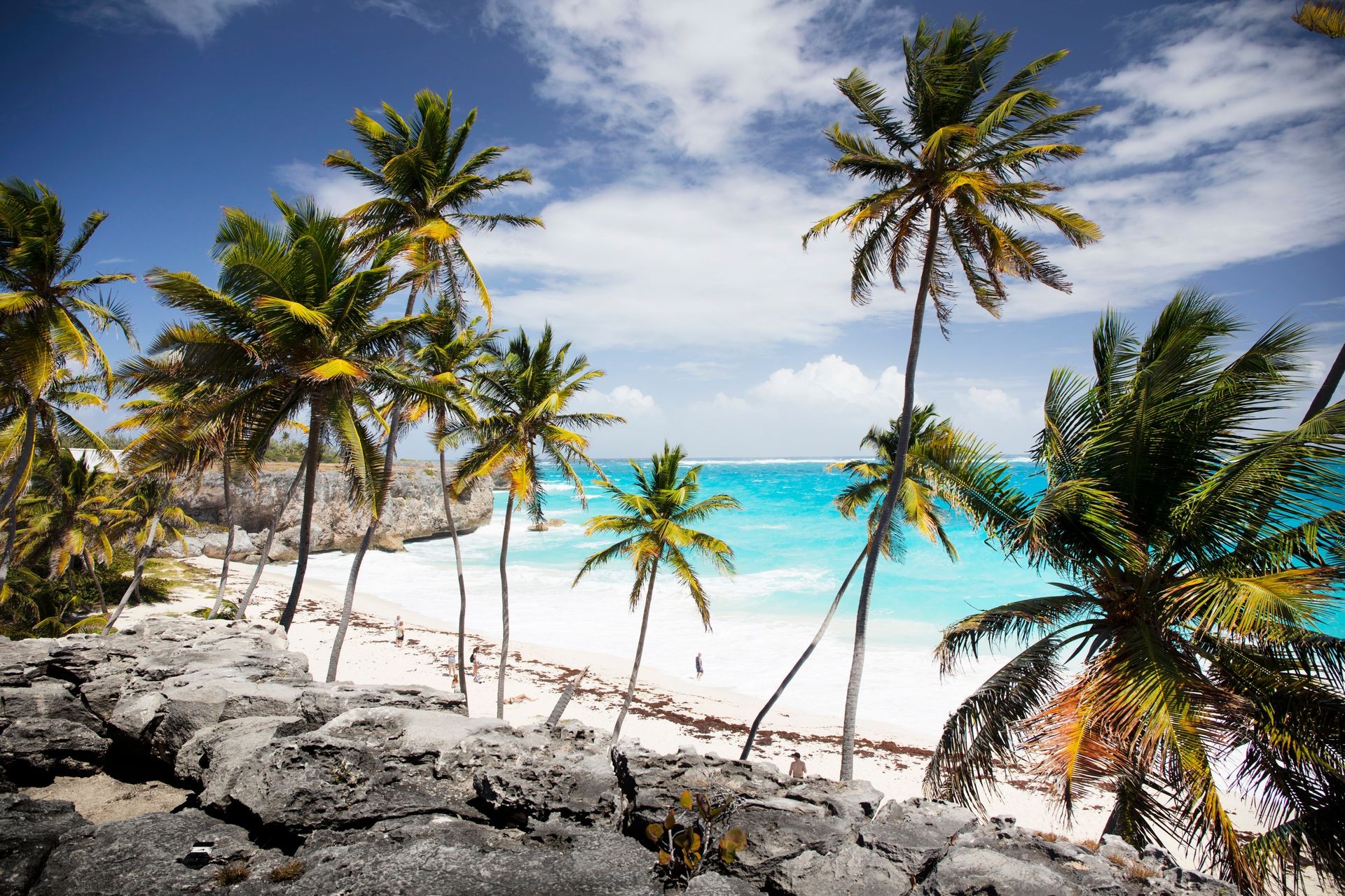 Summer vacations. Palm trees. Turquoise water. Exotic plants. Sunny blue sky. Beautiful white-sand beach. 
Travel agency background. Summer vacations. Palm trees. Turquoise water. Exotic plants. Sunny blue sky. Beautiful white-sand beach. 
Travel agency background.